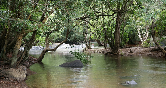 Cochin-Wayanad-Coorg